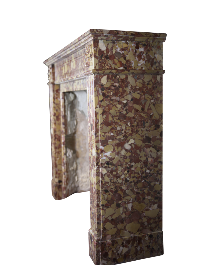 19Th Century French Vintage Fireplace In Brêche Marble