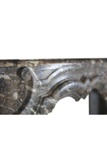 Maison Leon Van den Bogaert Niederländische Art-déco-Kaminumrandung mit Blumenmotiv