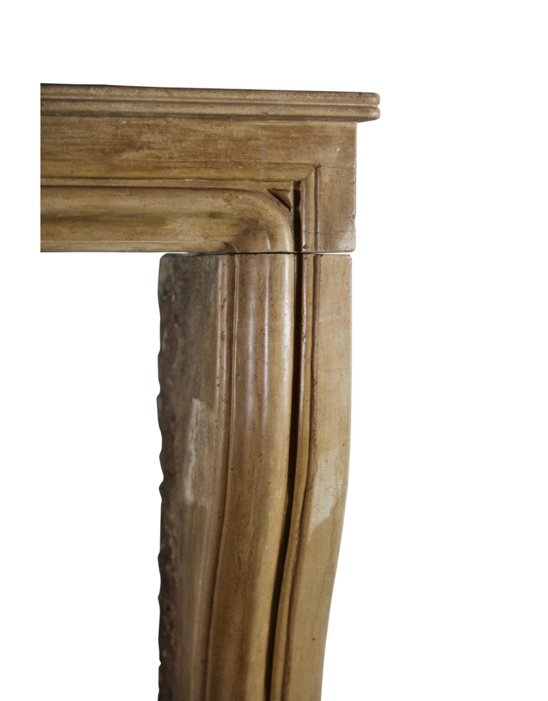 Small Elegant Vintage French Stone Fireplace Surround