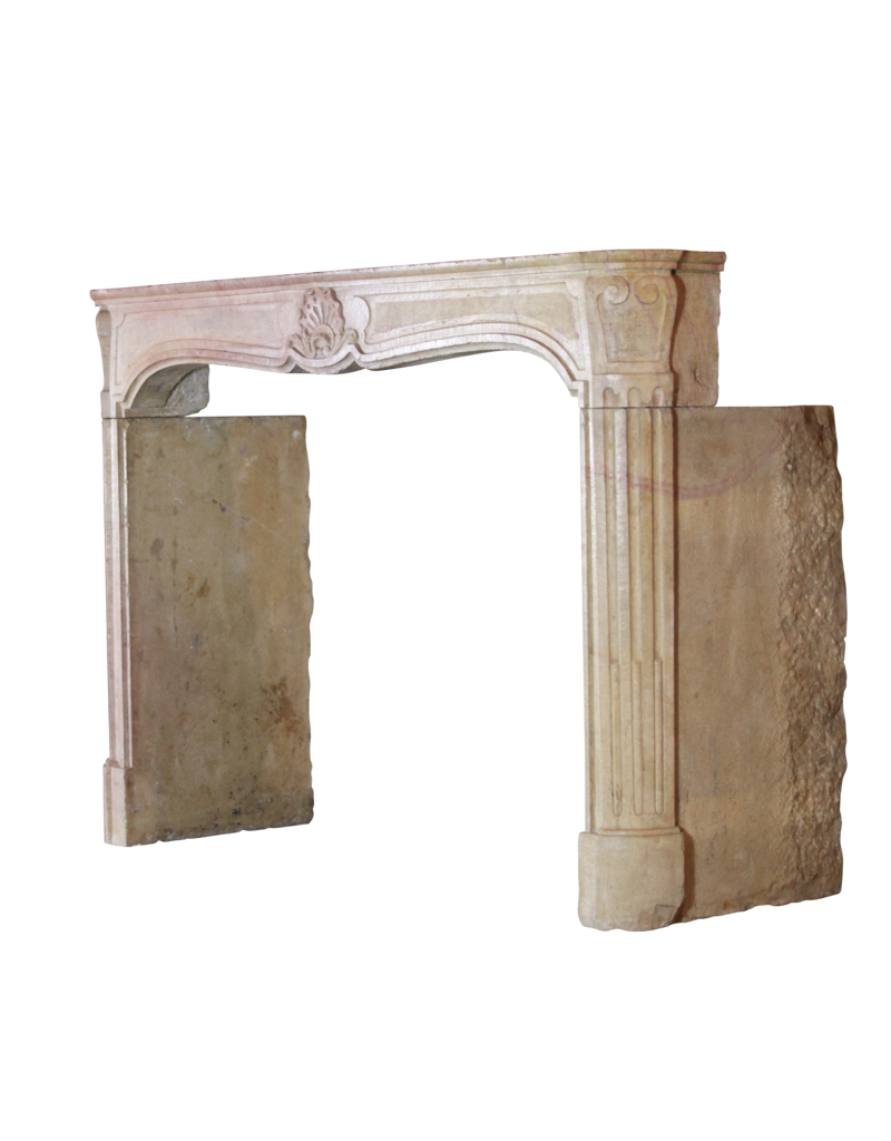 Maison Leon Van den Bogaert Francés Bicolor Duro Chimenea De Piedra Surround