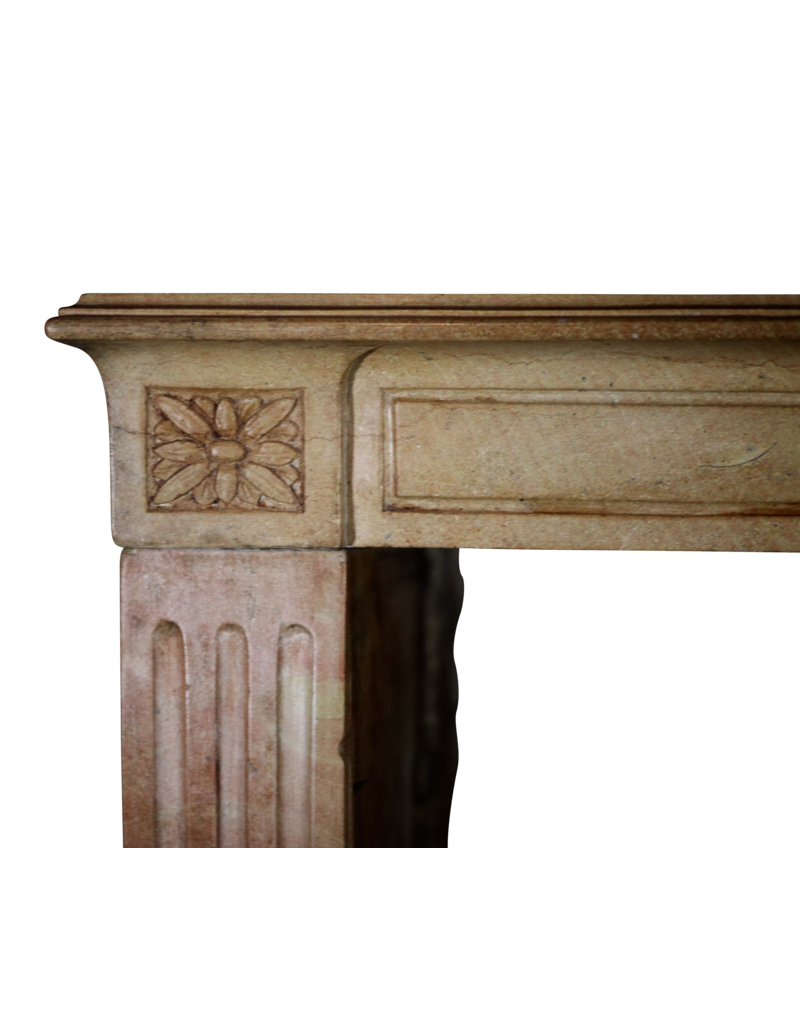 French Bicolor Reclaimed Fireplace Surround