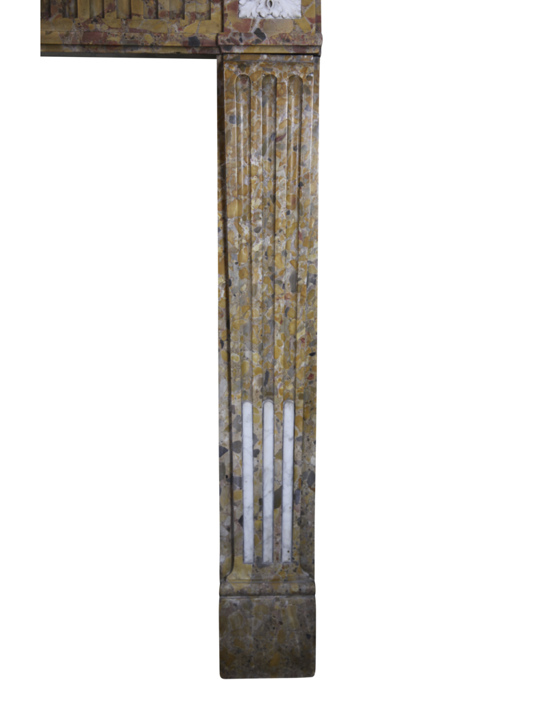 Maison Leon Van den Bogaert Chic French Marble Fireplace Surround