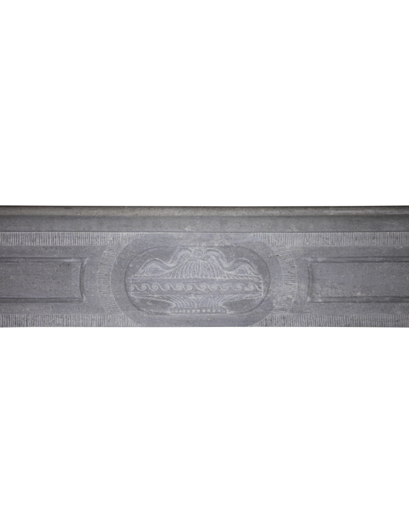 19Th Century Bleu-Grey Color Hard Limestone Fireplace Surround