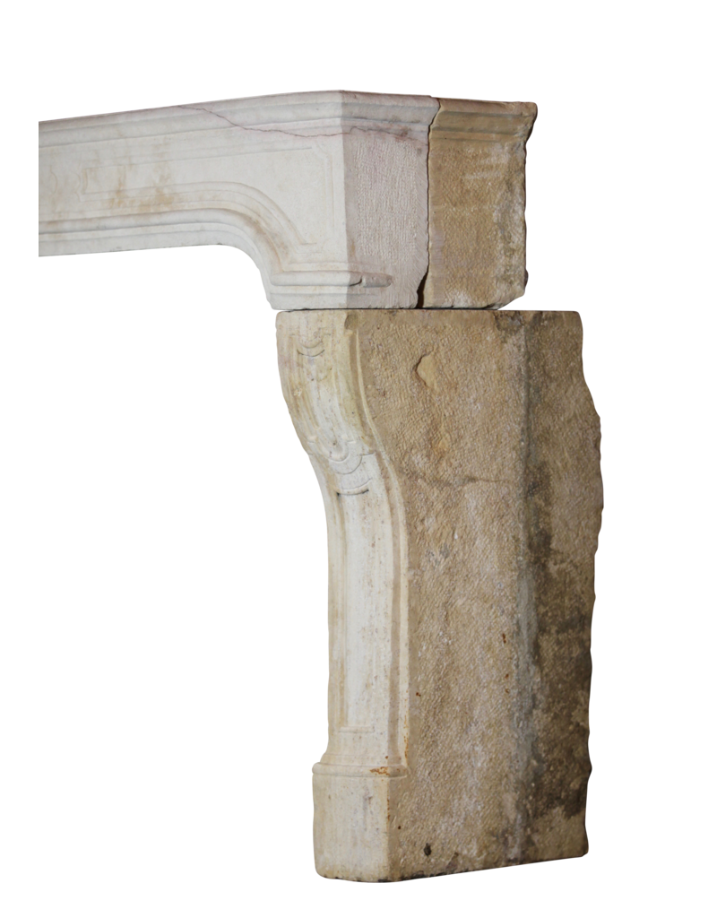 Maison Leon Van den Bogaert Antigua chimenea francesa de piedra caliza de estilo campestre