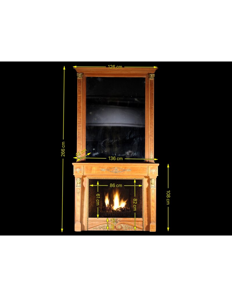 Vintage Fireplace Surround With Mirror