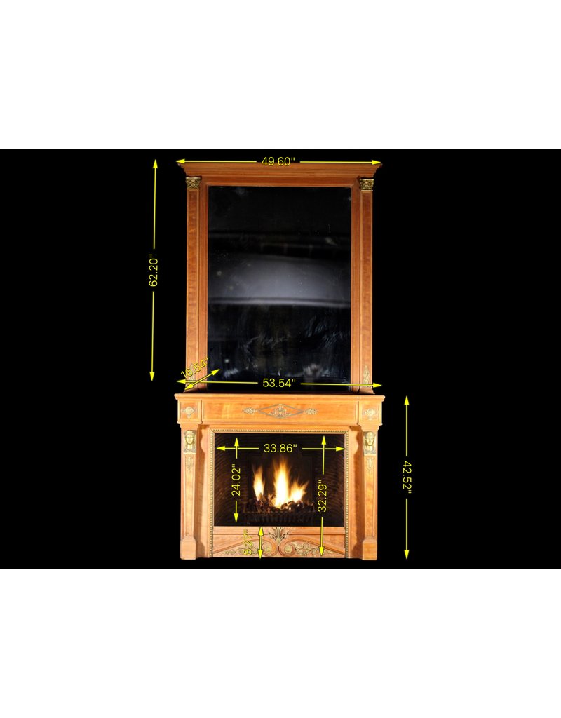 Vintage Fireplace Surround With Mirror