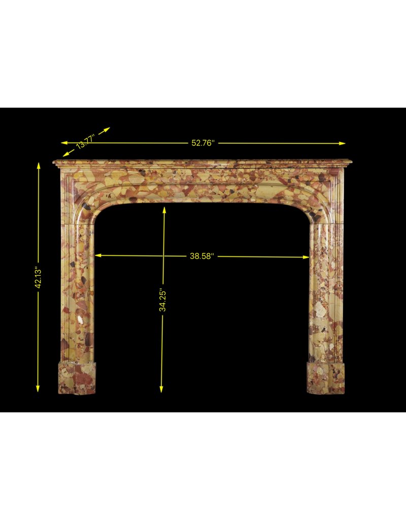 French Chique Marble Fireplace Surround