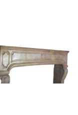 18Th Century Fine French Fireplace In Hard Stone