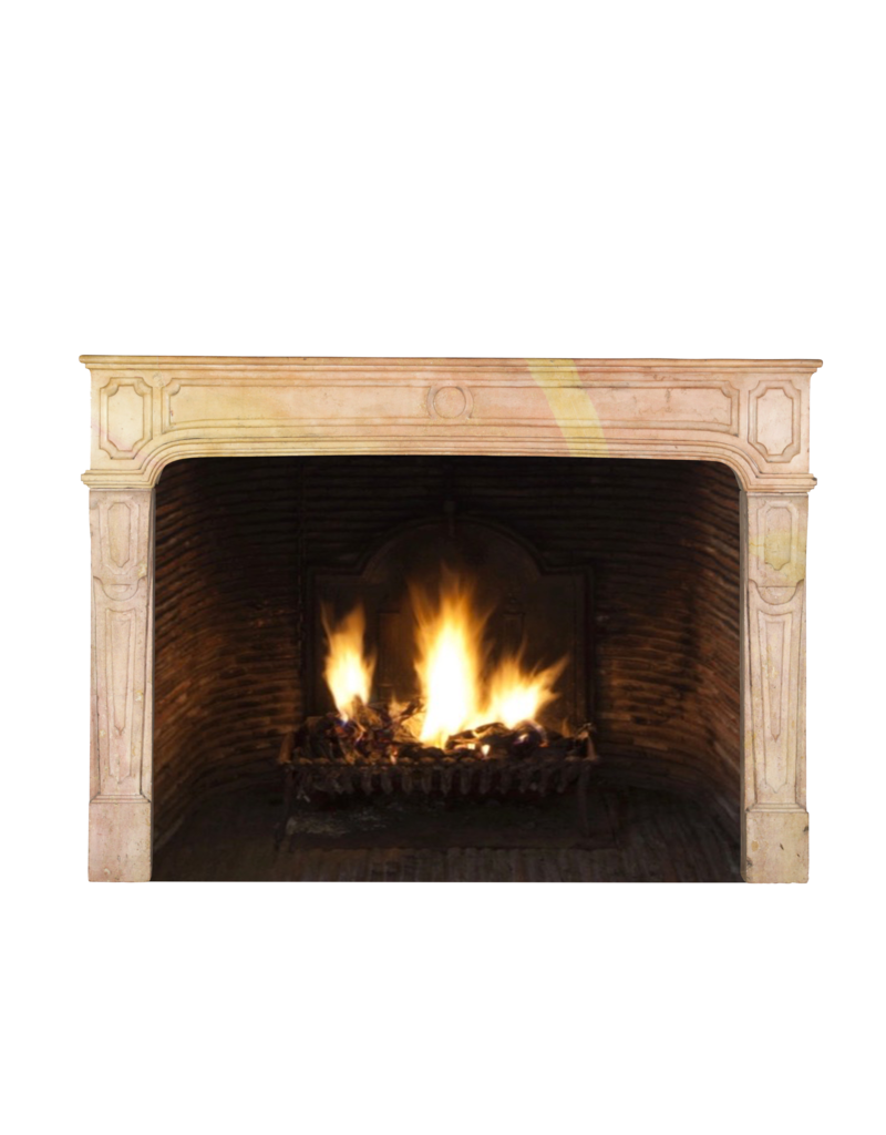 18Th Century Fine French Fireplace In Hard Stone