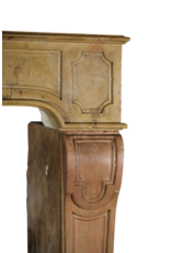 Maison Leon Van den Bogaert Vintage-Kaminumrandung aus zweifarbigem Stein