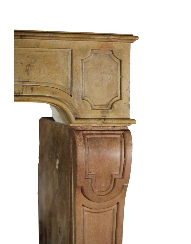 Maison Leon Van den Bogaert Vintage-Kaminumrandung aus zweifarbigem Stein