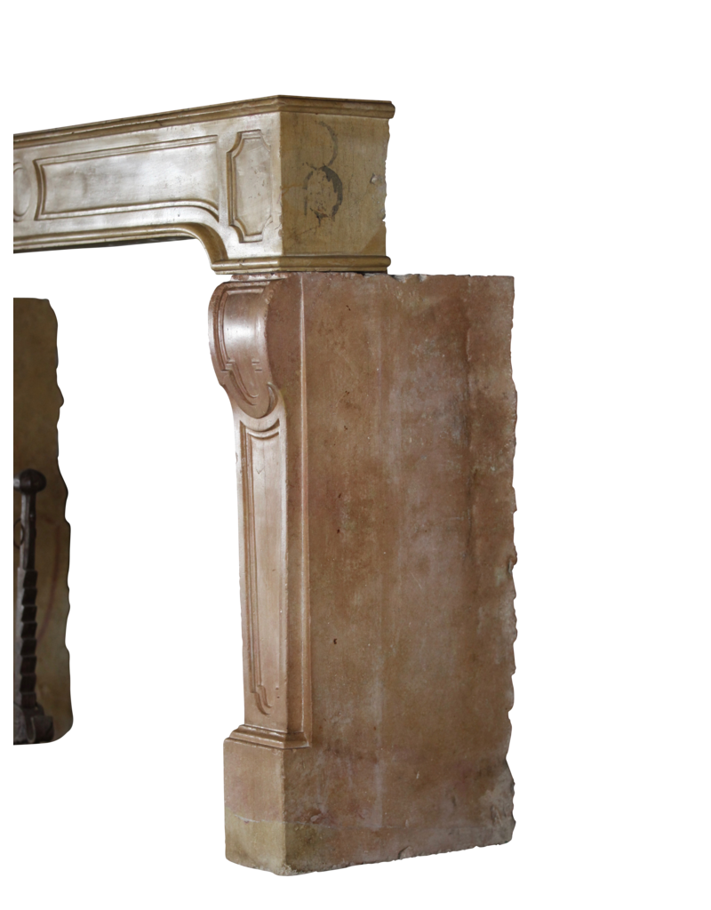 Vintage Bicolor Stone Fireplace Surround