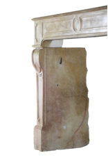 Vintage Bicolor Stone Fireplace Surround