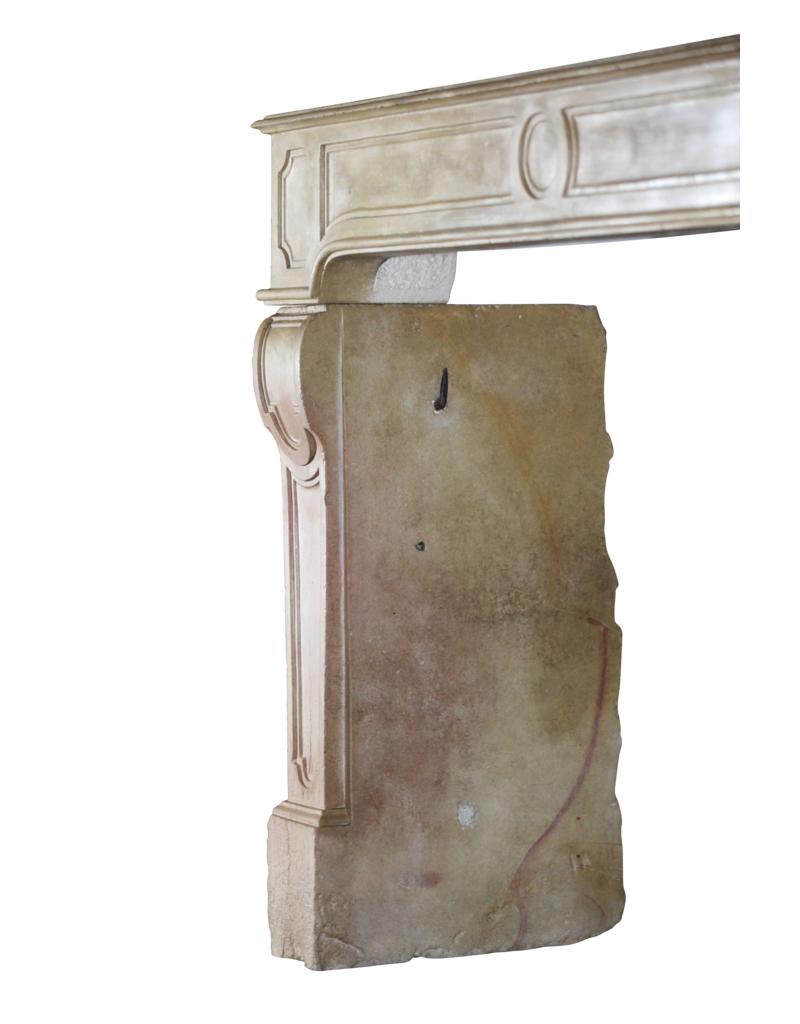 Vintage Bicolor Stone Fireplace Surround