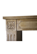 The Antique Fireplace Bank Empfindliche Directoire Stil Marmor Stein Kamin Verkleidung
