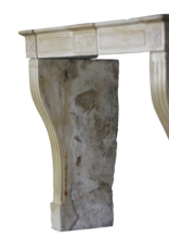 Delicate Directoire Style Marble Stone Fireplace Mantle