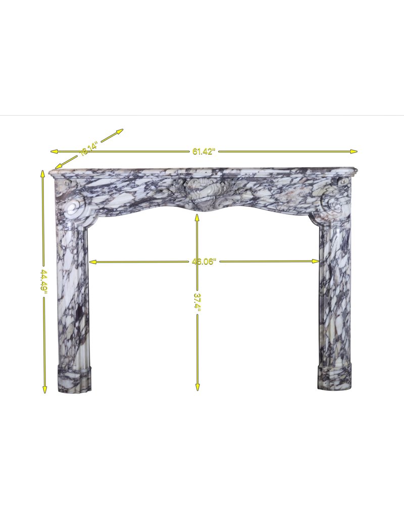 Fine French Regency Style Fireplace In Marble