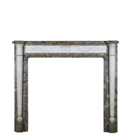 Maison Leon Van den Bogaert Delicate Classic French Antique Fireplace Surround