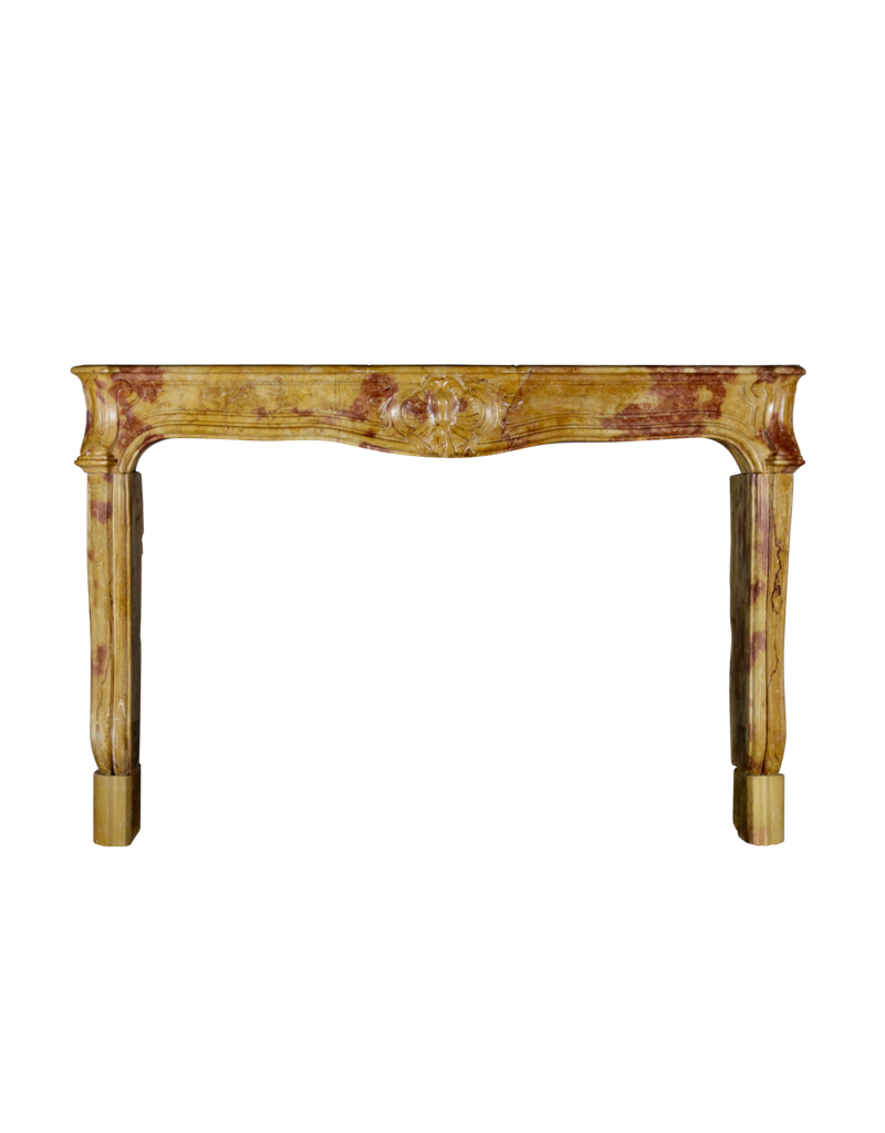 Maison Leon Van den Bogaert Elegante von der Natur geschaffene französische Kaminumrandung aus Kalkstein