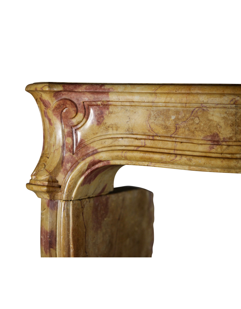 Maison Leon Van den Bogaert Elegante von der Natur geschaffene französische Kaminumrandung aus Kalkstein