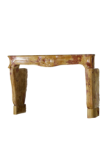 Maison Leon Van den Bogaert Elegante von der Natur geschaffene französische Kaminumrandung aus Kalkstein