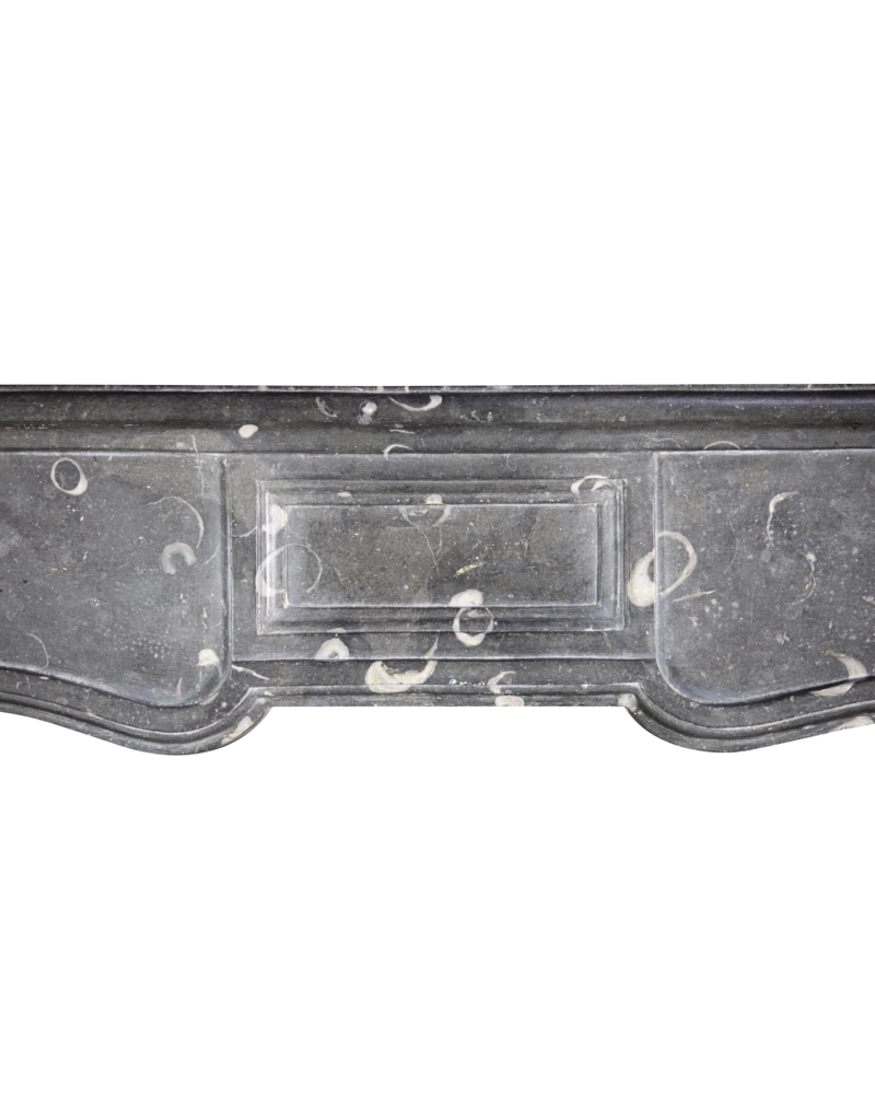 Maison Leon Van den Bogaert 18Th Century Chique French Fireplace Surround For Pure Timeless Interior Design Concepts