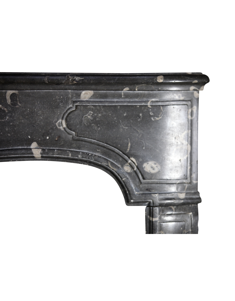 18Th Century Chique French Fireplace Surround For Pure Timeless Interior Design Concepts