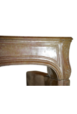 French 18Th Century Period Bicolor Antique Fireplace Surround