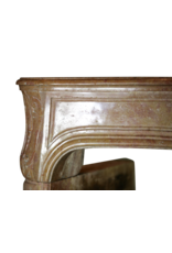 French 18Th Century Period Bicolor Antique Fireplace Surround