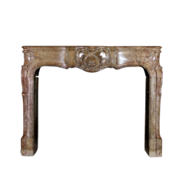 Maison Leon Van den Bogaert Außergewöhnliche Antik Hartsteinkamin Surround