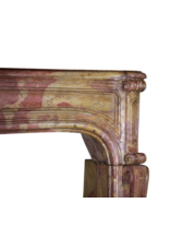 Maison Leon Van den Bogaert Von der Natur geschaffene mehrfarbige französische Vintage-Kaminumrandung aus Stein