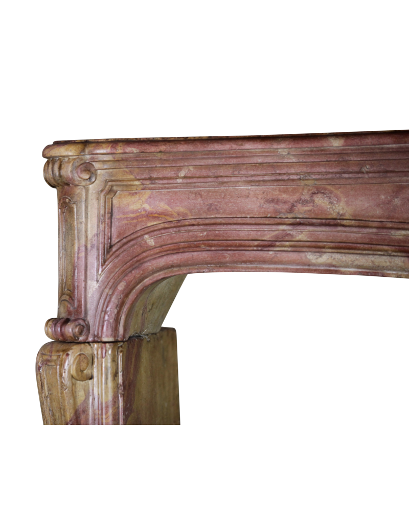 Maison Leon Van den Bogaert Von der Natur geschaffene mehrfarbige französische Vintage-Kaminumrandung aus Stein