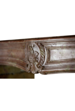 Maison Leon Van den Bogaert Von der Natur geschaffene mehrfarbige französische Vintage-Kaminumrandung aus Stein