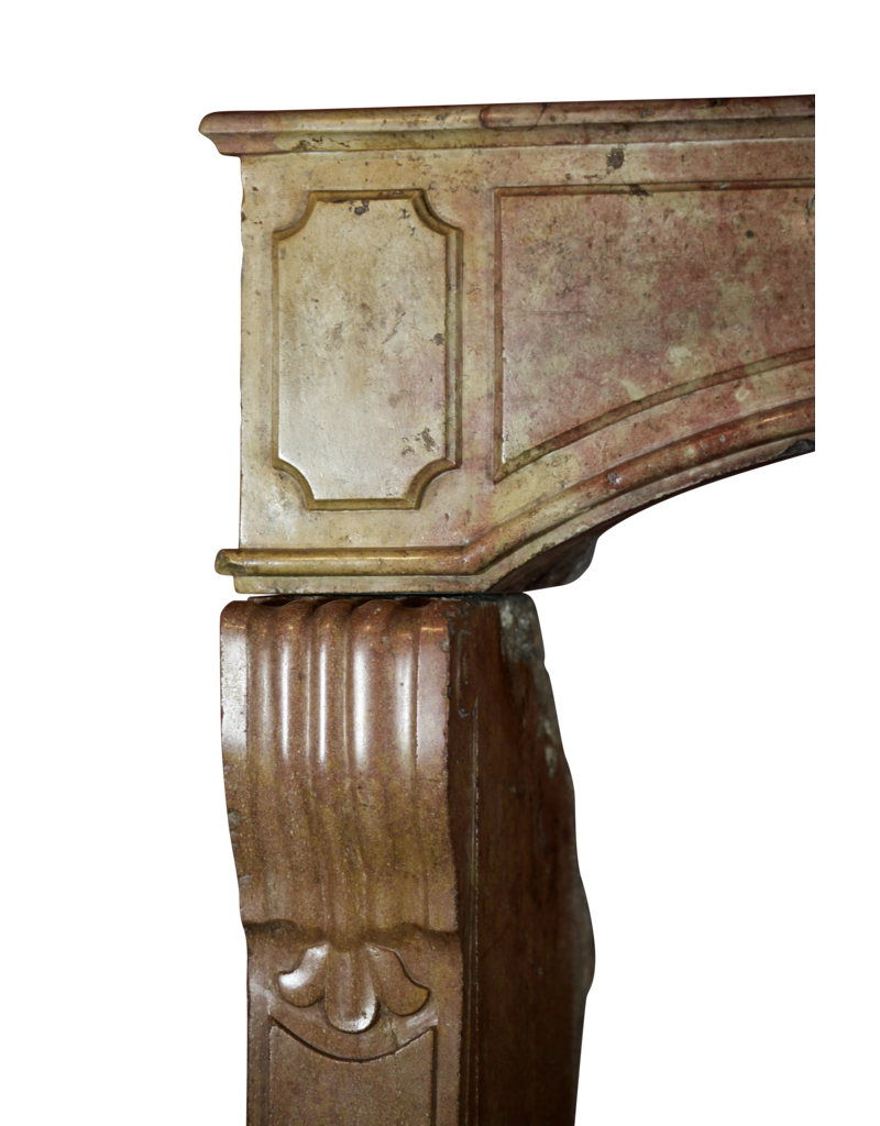 Maison Leon Van den Bogaert Francés Del Siglo 17 Período De Borgoña Bicolor Chimenea