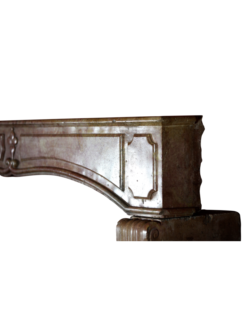 Maison Leon Van den Bogaert Französische zweifarbige Kaminumrandung aus dem 17. Jahrhundert aus Burgund