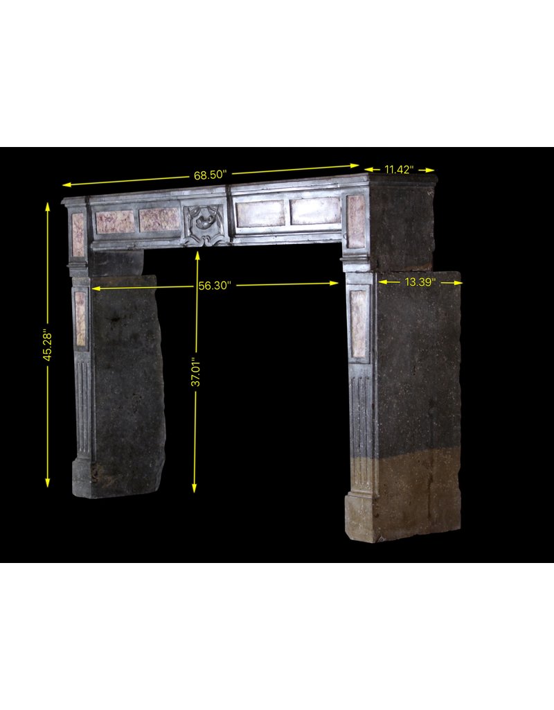 Maison Leon Van den Bogaert Bicolor French Antique Stone Fireplace Surround