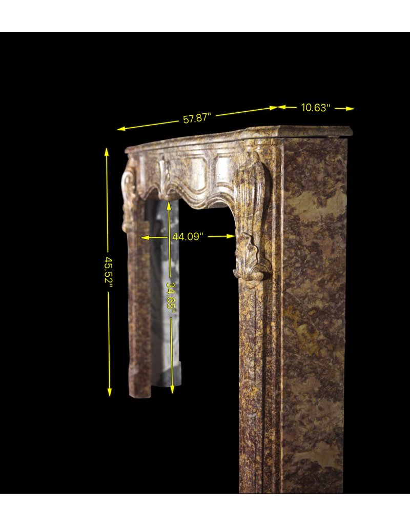 Maison Leon Van den Bogaert Große Kaminumrandung aus Marmor aus dem 18. Jahrhundert