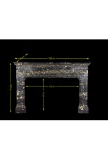 Biedermeier Period Antique Fireplace Surround In Port D'or Marble