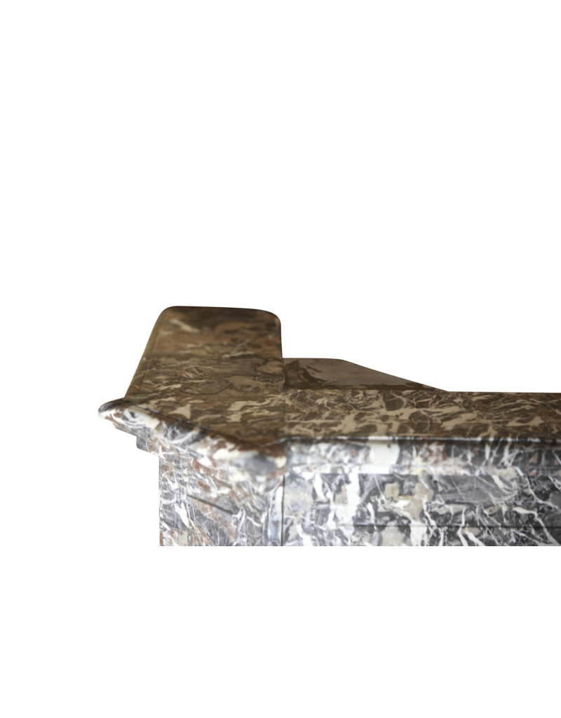 Maison Leon Van den Bogaert Belgian 18Th Century Ardennes Marble Fireplace Surround