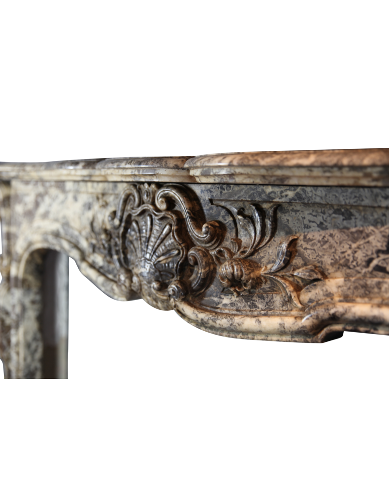 Chique Belgian 19Th Century Period Fireplace Surround