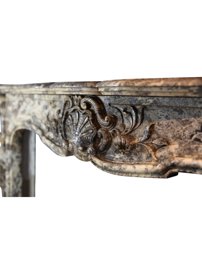 Maison Leon Van den Bogaert Chic Belgian 19th Century Period Fireplace Surround