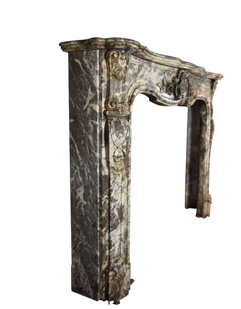 Chique Belgian 19Th Century Period Fireplace Surround