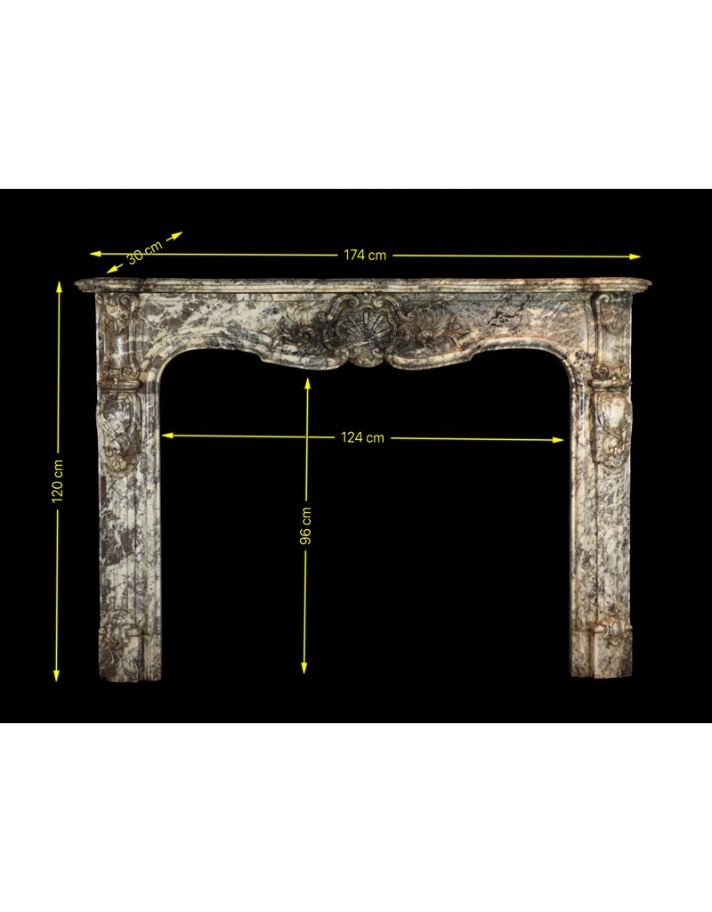Chique Belgian 19Th Century Period Fireplace Surround