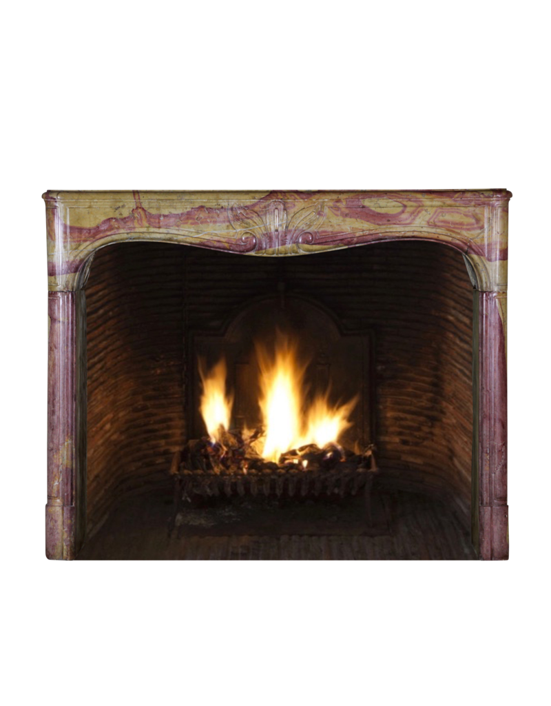 Maison Leon Van den Bogaert 18Th Century Created By Nature Vintage Fireplace Surround