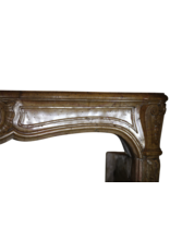 One Of Kind French Antique Fireplace Surround