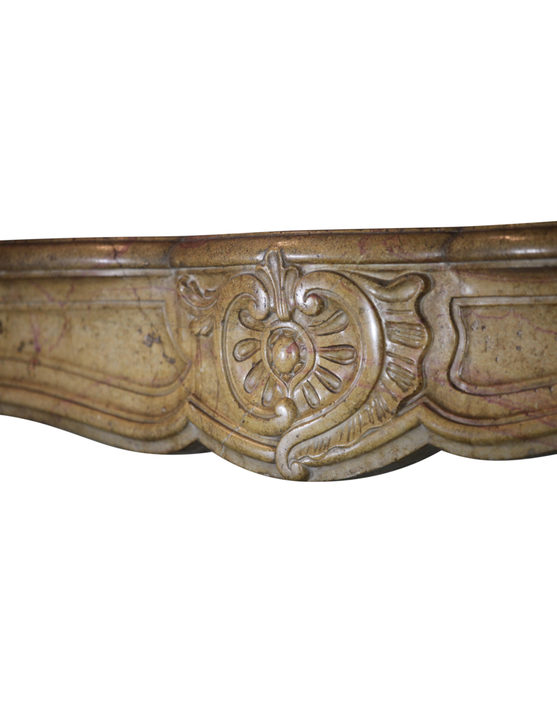 One Of Kind French Antique Fireplace Surround