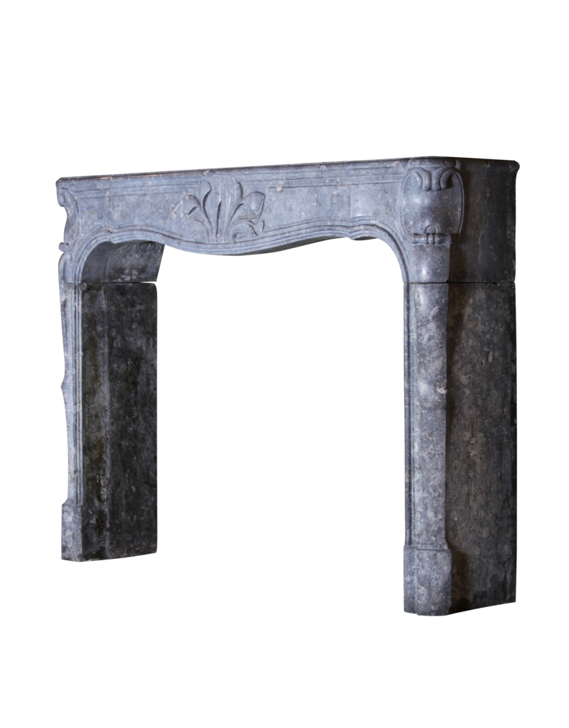 18Th Century Fine French Fireplace In Hard Stone With Floral Detail