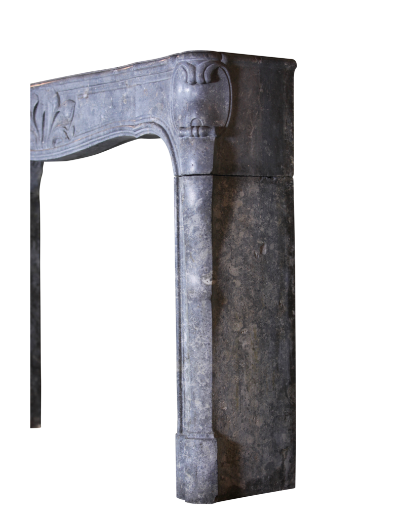 18Th Century Fine French Fireplace In Hard Stone With Floral Detail