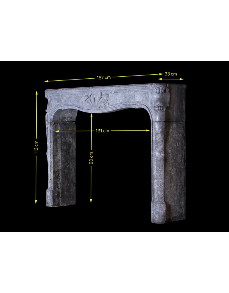 18. Jahrhundert Feine Französisch Kamin In Harter Stein Mit Blumendetail