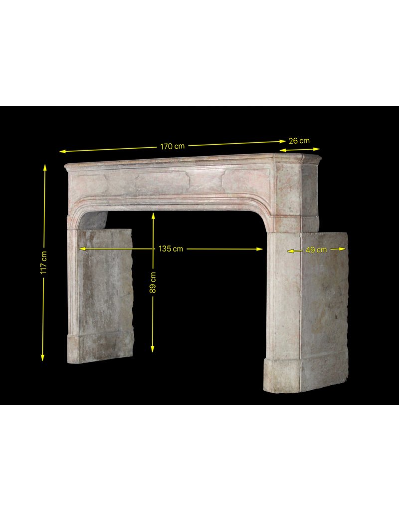 Grand 17Th Century French Vintage Fireplace Surround